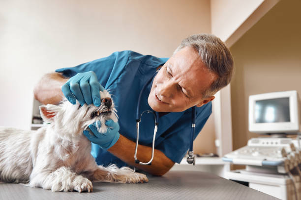 Best Emergency Treatment for Dental Infections or Abscesses in Florham Park, NJ